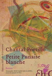 Petite Punaise blanche