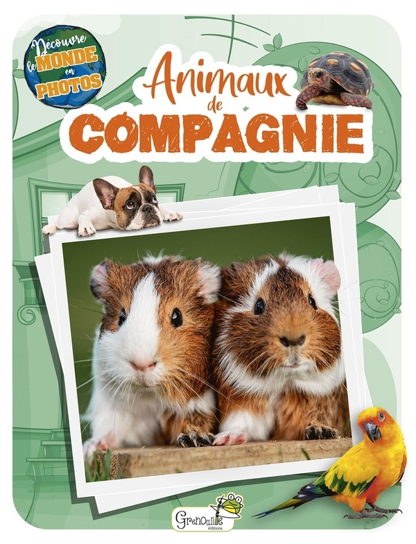 Animaux de compagnie