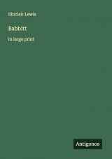 Babbitt: in large print