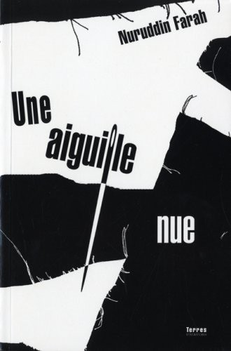 Une Aiguille Nue