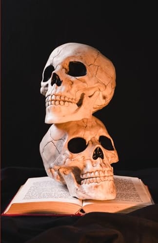 The Devil’s Dictionary: The Masterpiece of Historical Satire from Ambrose Bierce. (Annotated) [9798310714557]