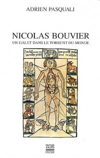 Nicolas Bouvier : Un galet dans le torrent du monde