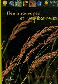 Fleurs sauvages et vagabondes