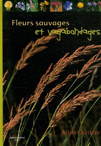 Fleurs sauvages et vagabondes