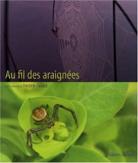 Au Fil des araignées