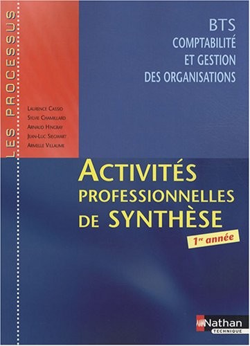 Activités professionnelles de synthèse - BTS CGO 1re année