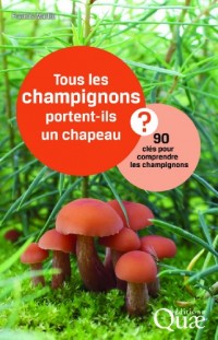 Tous les champignons portent-ils un chapeau ? : 90 clés pour comprendre les champignons