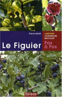 Le Figuier : Pas à pas