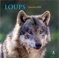 Calendrier Loups 2020