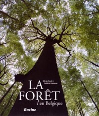 La forêt en Belgique