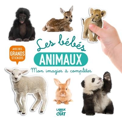 Les bebes animaux
