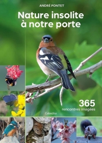 Nature insolite à notre porte: 365 rencontres imagées