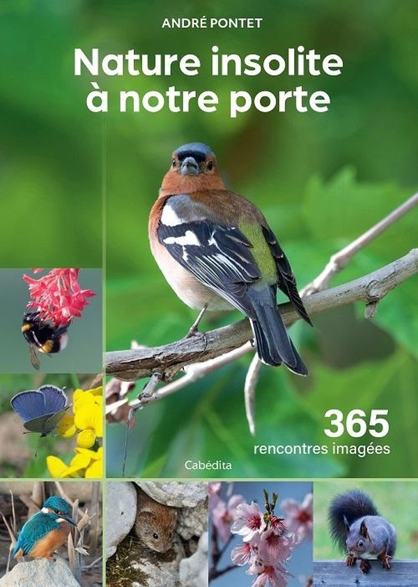 Nature insolite à notre porte: 365 rencontres imagées