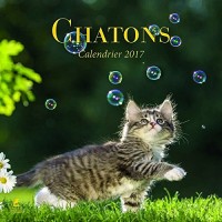 Chatons calendrier 2017