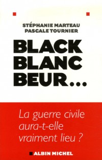 Black, blanc, beur... : La guerre civile aura-t-elle vraiment lieu ?