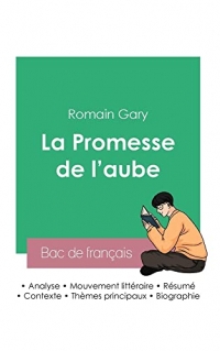 Réussir son Bac de français 2023 : Analyse de La Promesse de l'aube de Romain Gary