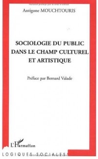 Sociologie du public dans le champ culturel et artistique