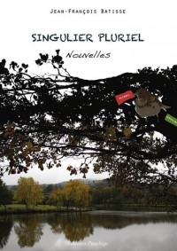 Nouvelles au pluriel : SIngulier. Pluriel