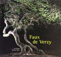 Faux de Verzy