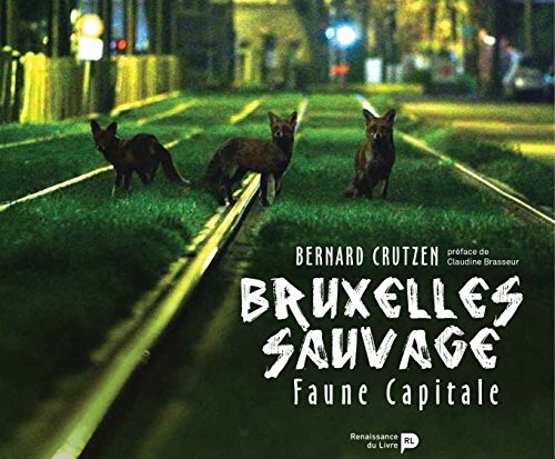 Bruxelles sauvage - Faune capitale