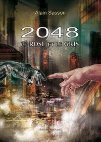 2048 le rose et le gris