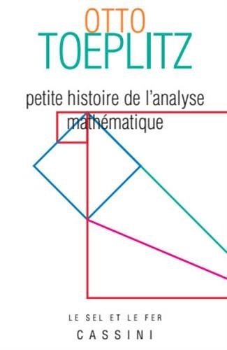 Petite histoire de l'analyse mathématique