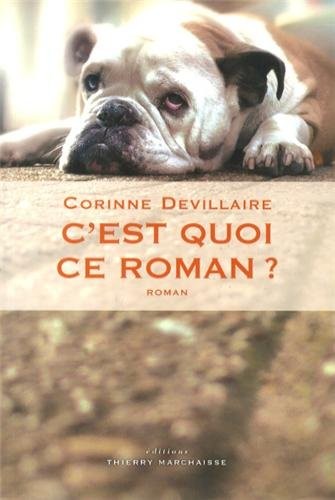 C'est quoi ce roman ?
