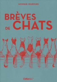 Brèves de chats