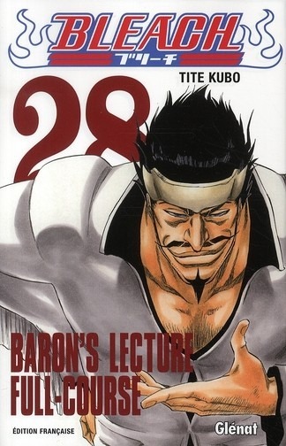 Bleach Vol.28
