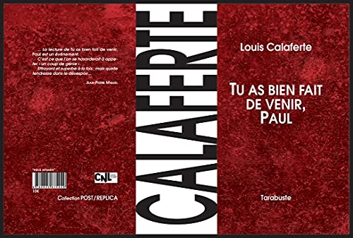 Tu as bien fait de venir, Paul