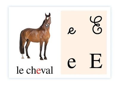 Lecture tout terrain CP