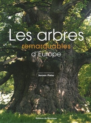 Les arbres remarquables d'Europe : Une promenade parmi les arbres les plus impressionnants d'Europe