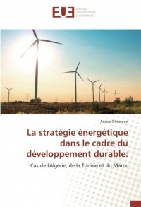 La stratégie énergétique dans le cadre du développement durable:
