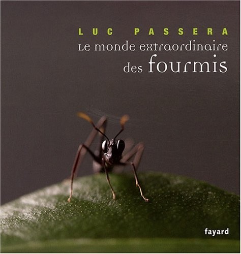 Le monde extraordinaire des fourmis