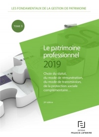 Le Patrimoine professionnel 2019