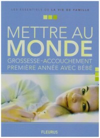 Mettre au monde : Grossesse-accouchement-première année avec bébé