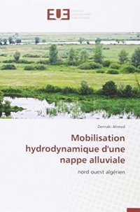 Mobilisation hydrodynamique d'une nappe alluviale