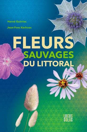 Fleurs sauvages du littoral