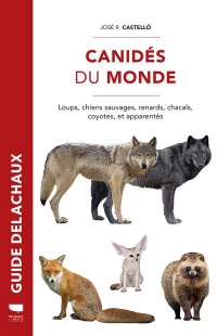 Canides du Monde - Loups, Chiens Sauvages, Renards, Chacals, Coyotes et Apparentes