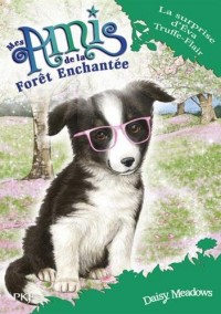 Mes amis de la forêt enchantée - tome 10 : La surprise d'Eva Truffe-Flair (10)