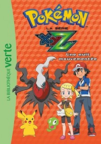 Pokemon 30 - Une nuit mouvementée