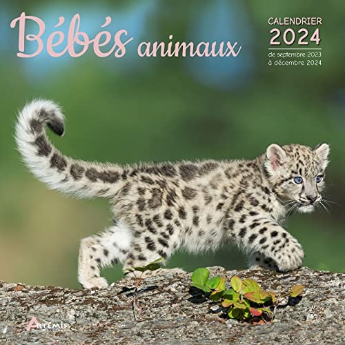 Calendrier Bébés animaux 2024