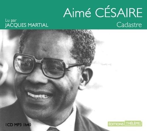Cadastre