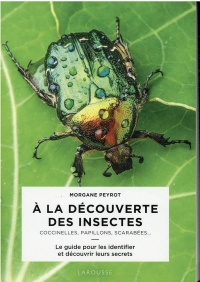 A la découverte des insectes