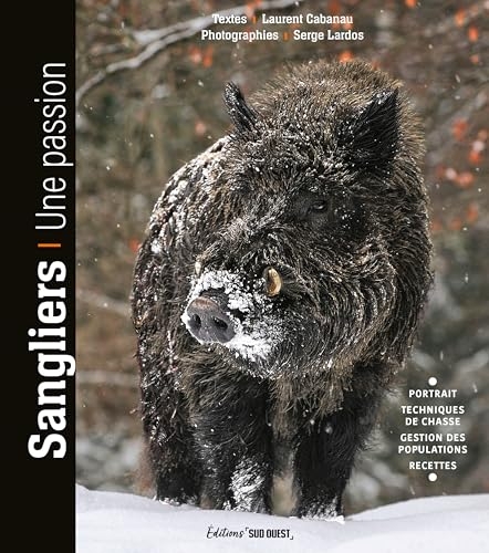 Sangliers. Une passion