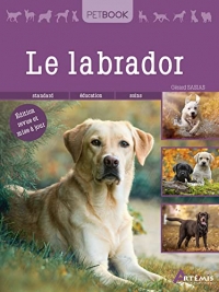 Labrador