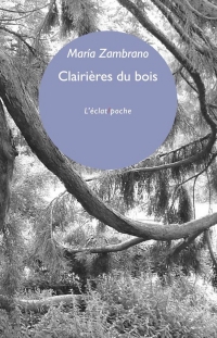 Clairières du bois