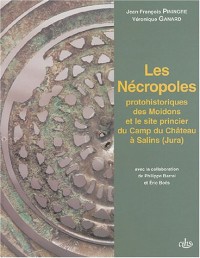 Les nécropoles protohistoriques des Moidons et le site princier du Camp du Château à Salins (Jura) : Les fouilles récentes et la collection du Musée des Antiquités Nationales