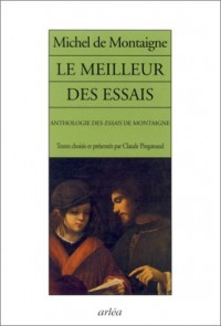 Le Meilleur des essais : Anthologie des essais de Montaigne