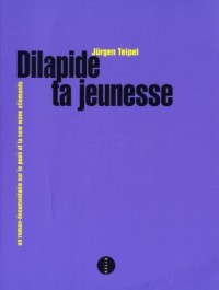 Dilapide ta jeunesse - Un roman-documentaire sur le punk et la new wave allemands